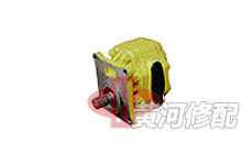 Variable speed pump