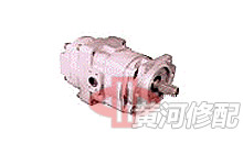 Double-Pump 