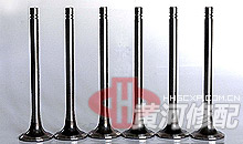 Intake and exhaust doors