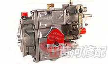 PT pump assembly